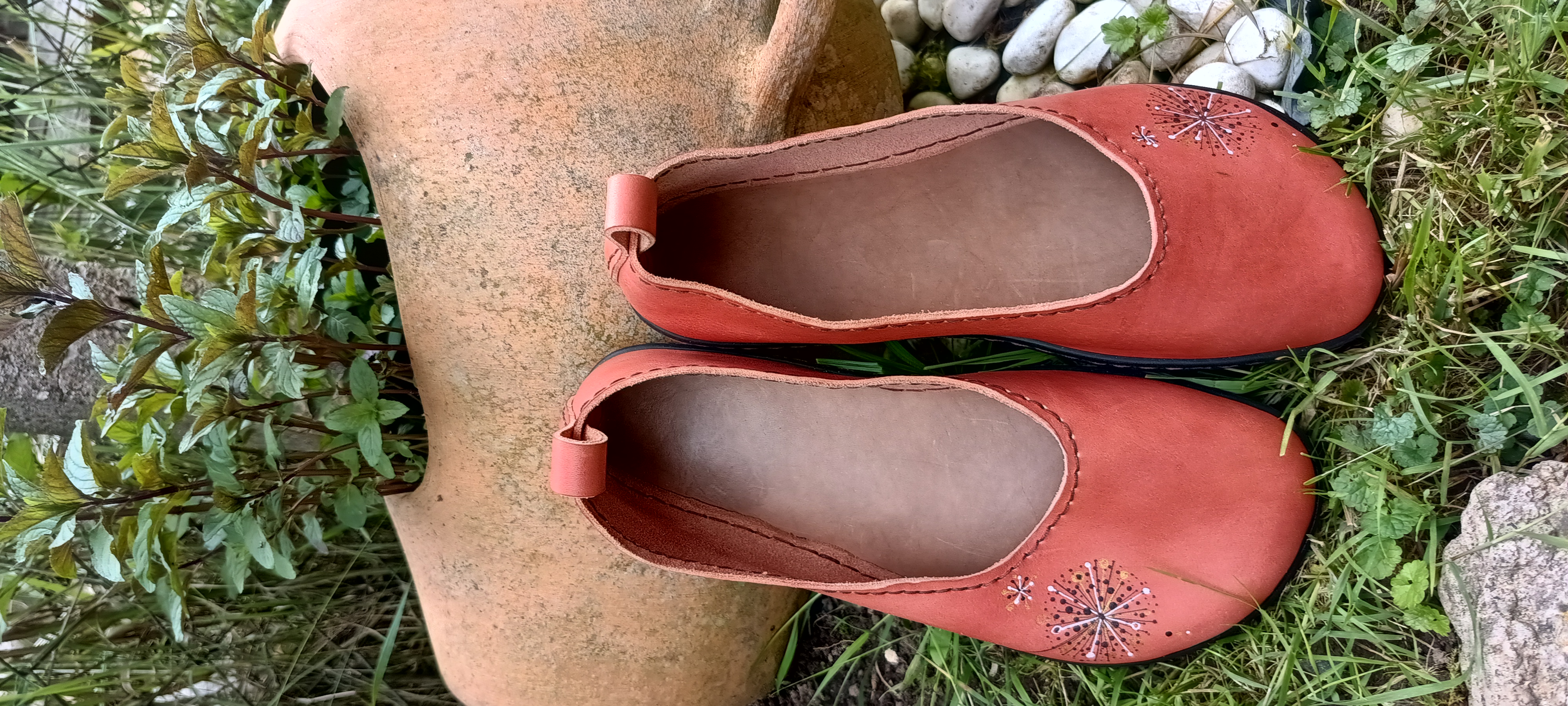 Barefoot Bosá borovica-na objednávku